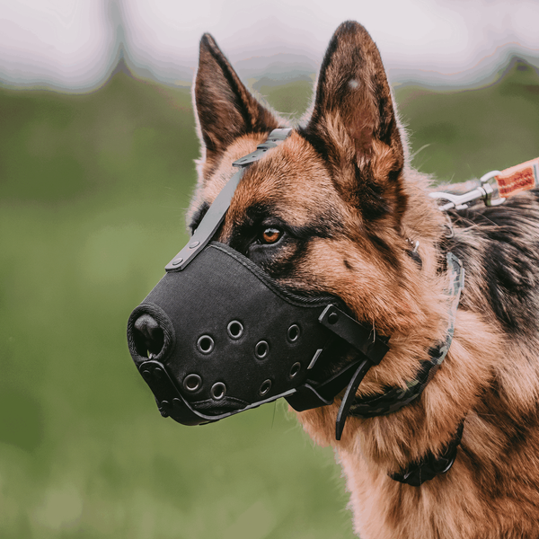 Stossmaulkorb - Cordura Grösse 6