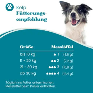 Kelp - Allgemeine natürliche Unterstützung