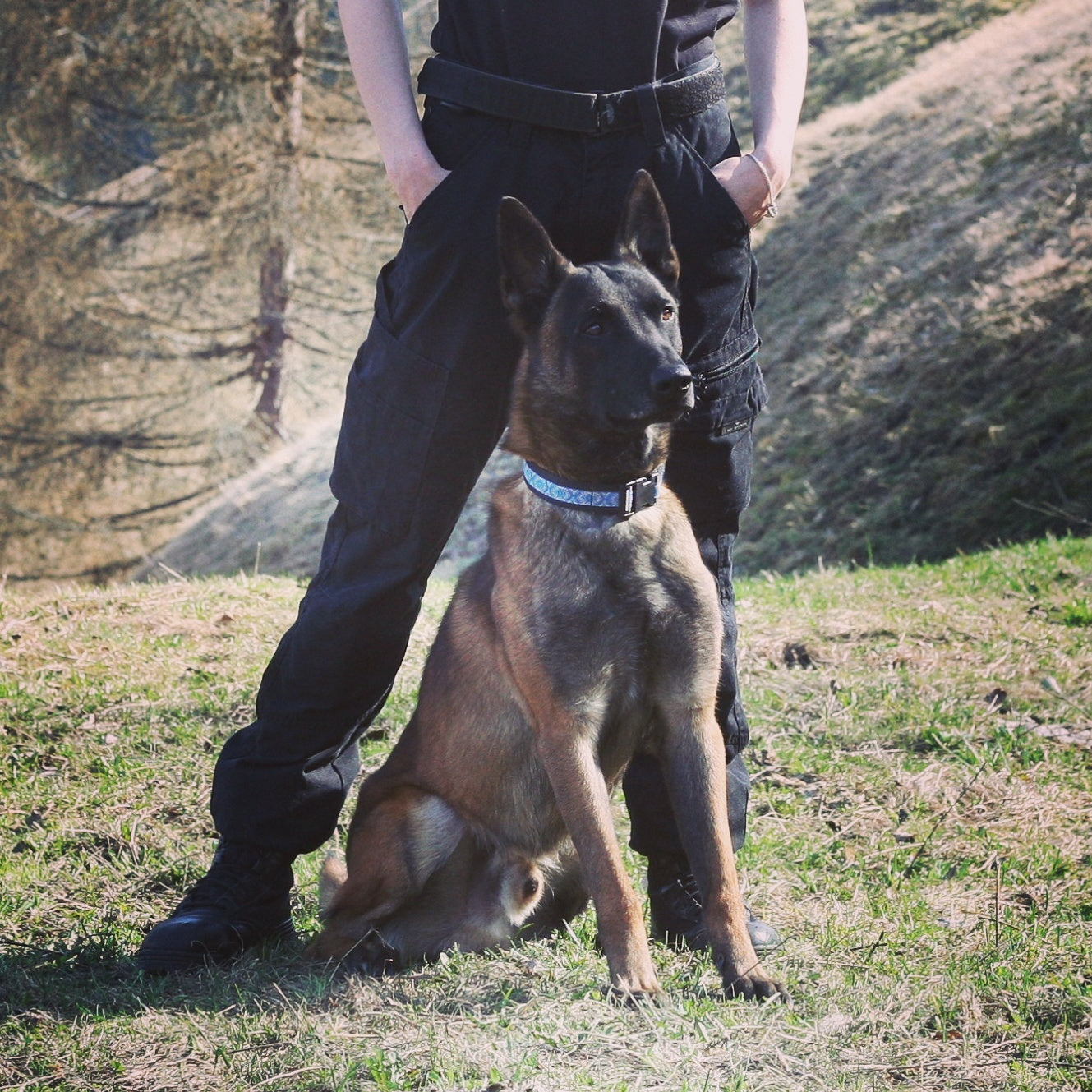 Sicherheitsdienst