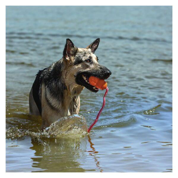 Kong Aqua - Mittel - schwimmend