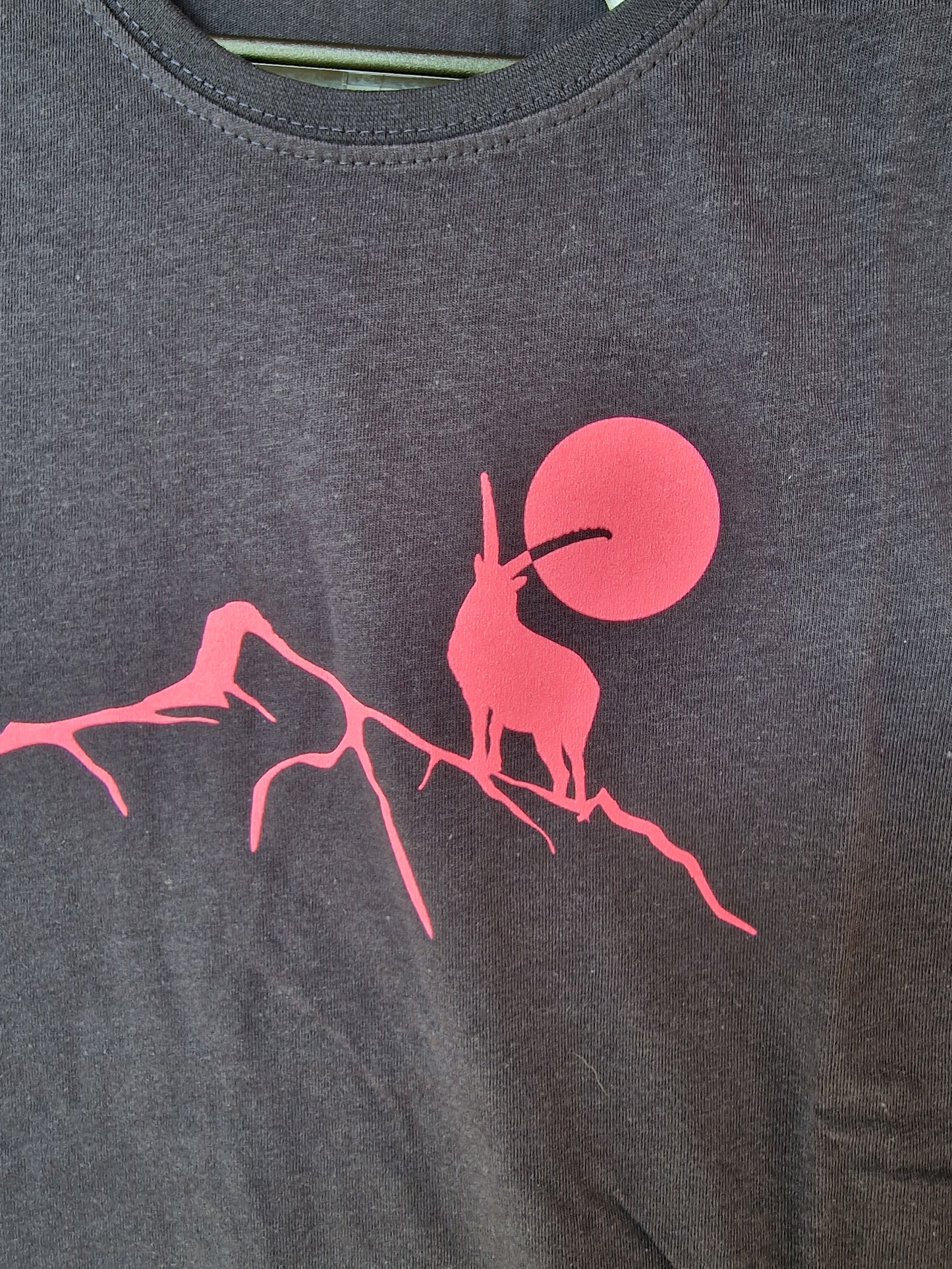 T-Shirt Lukmanier Pink Gr. XS (Frau)