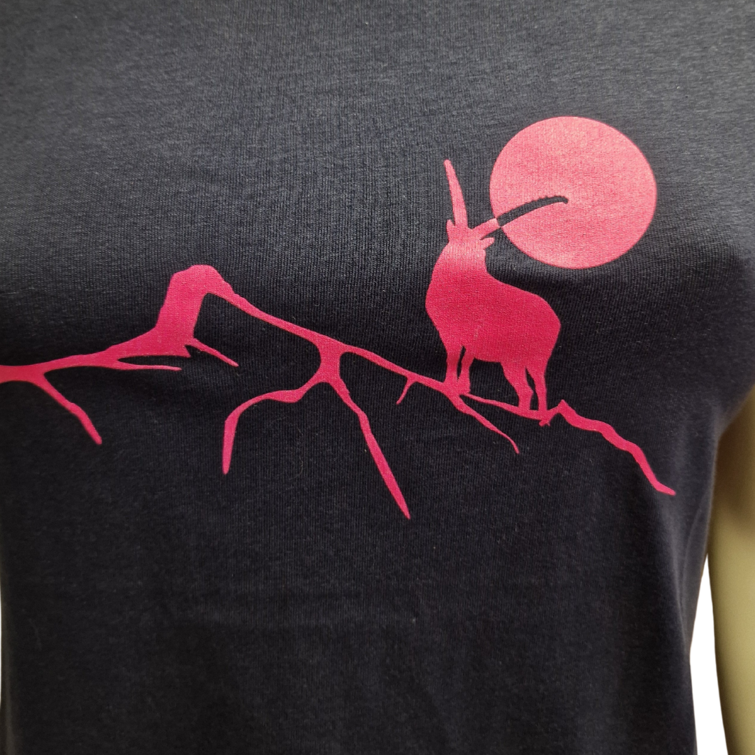 T-Shirt Lukmanier Pink Gr. XS (Frau)