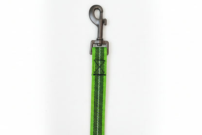 Reflektierende Leine - 5 Meter - ohne Handschlaufe, gummiert