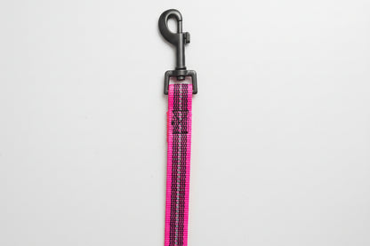 Reflektierende Leine - 5 Meter - ohne Handschlaufe, gummiert