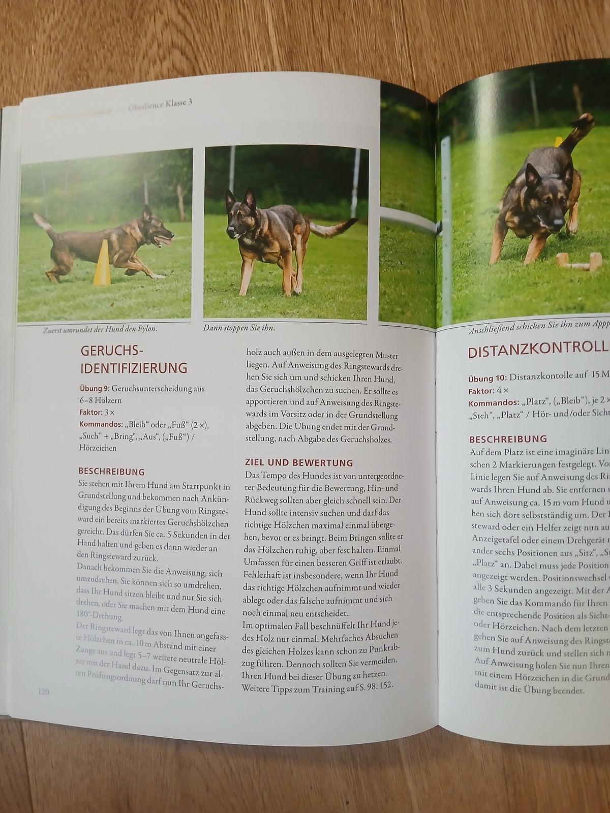 Obedience-Hundesport in Präzision / Occasion