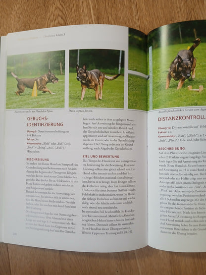 Obedience-Hundesport in Präzision / Occasion