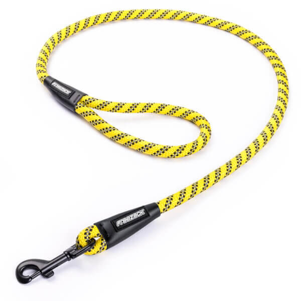 SET Hundehalsband 40-45cm + Leine GELB