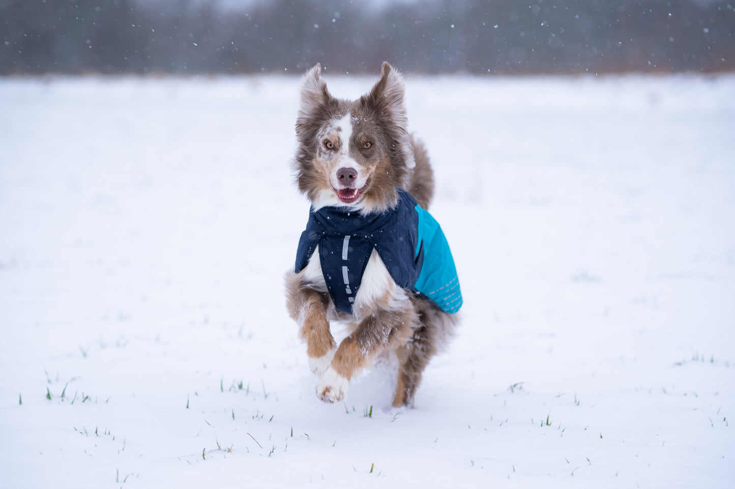 Non-Stop Wintermantel Glacier Jacket 2.0