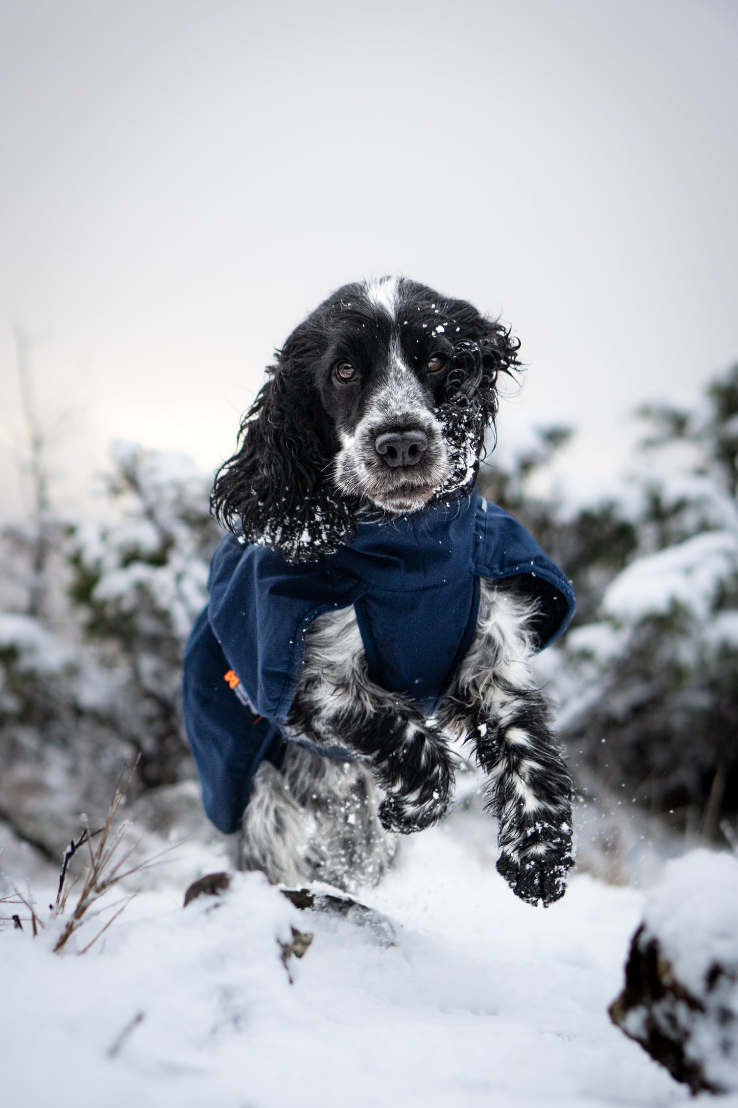 Non-Stop Wintermantel Glacier Wool Jacket 2.0