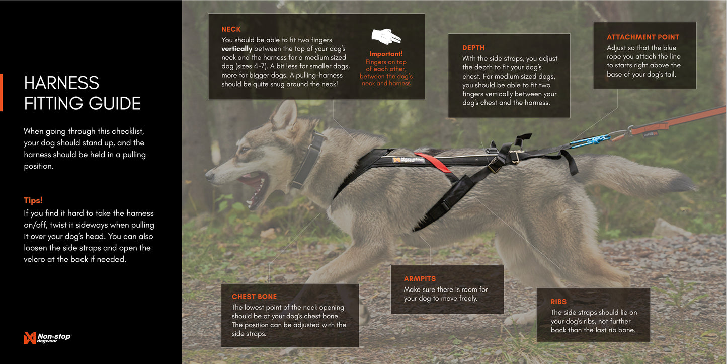 Non-Stop Zuggeschirr Freemotion Working Dog