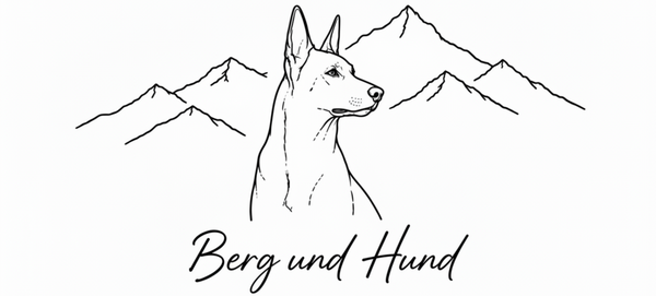 Berg und Hund