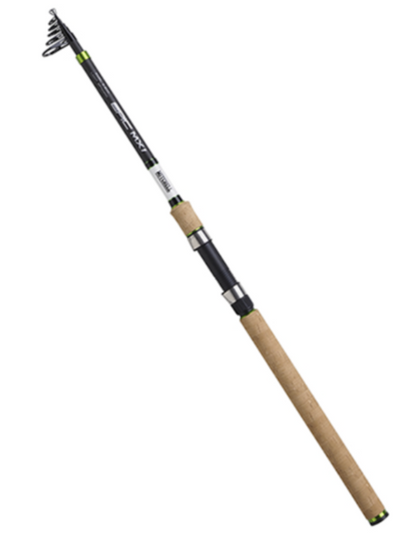 Mitchell Teleskoprute Trout Epic MX1 5-20g 3.10m
