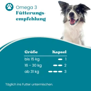 Omega-3-Fettsäuren - gesunde Haut und glänzendes Fell